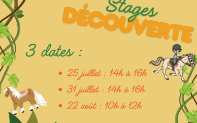 Poney Club la Ducherais stages découvertes été 2025