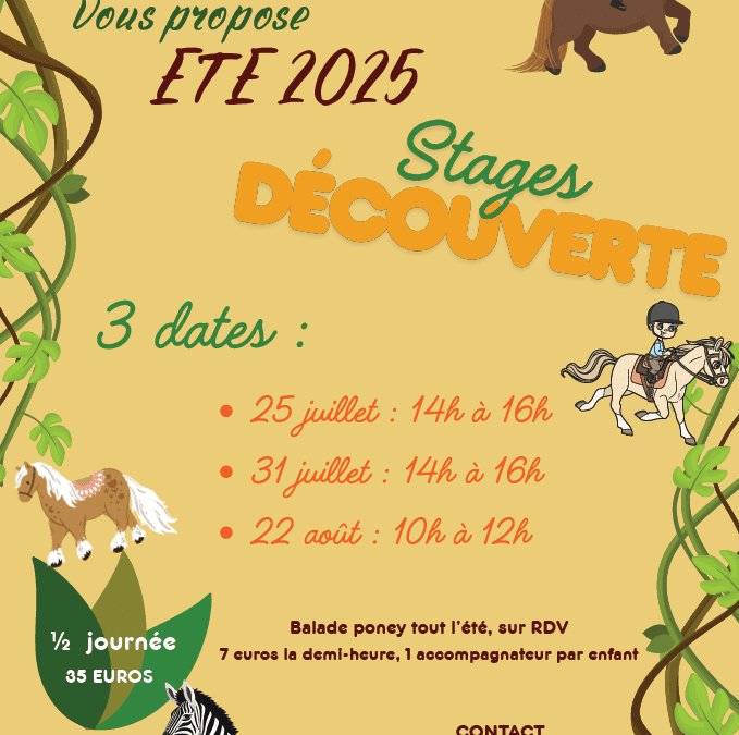 Poney Club la Ducherais stages découvertes été 2025