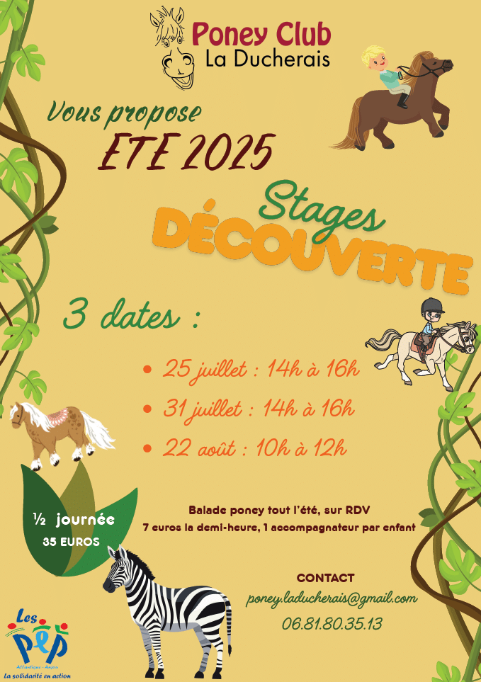 stages découvertes
