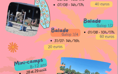 Poney Club la Ducherais stages été 2025