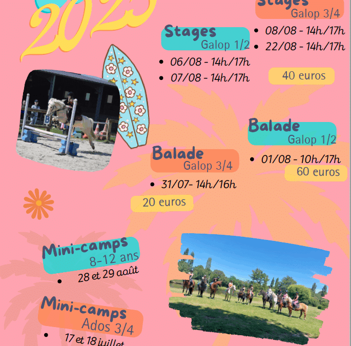 Poney Club la Ducherais stages été 2025