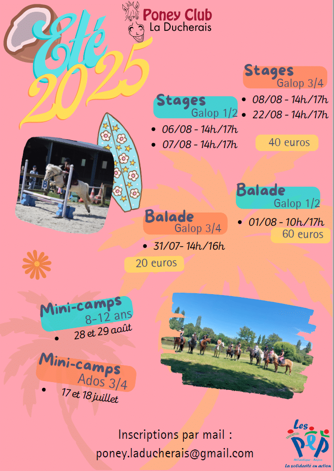 Stage Poney Club été 2024